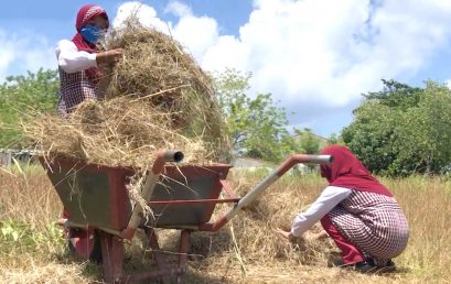 Student-Centered Skill-Based Learning – Composting [grade 1-9]