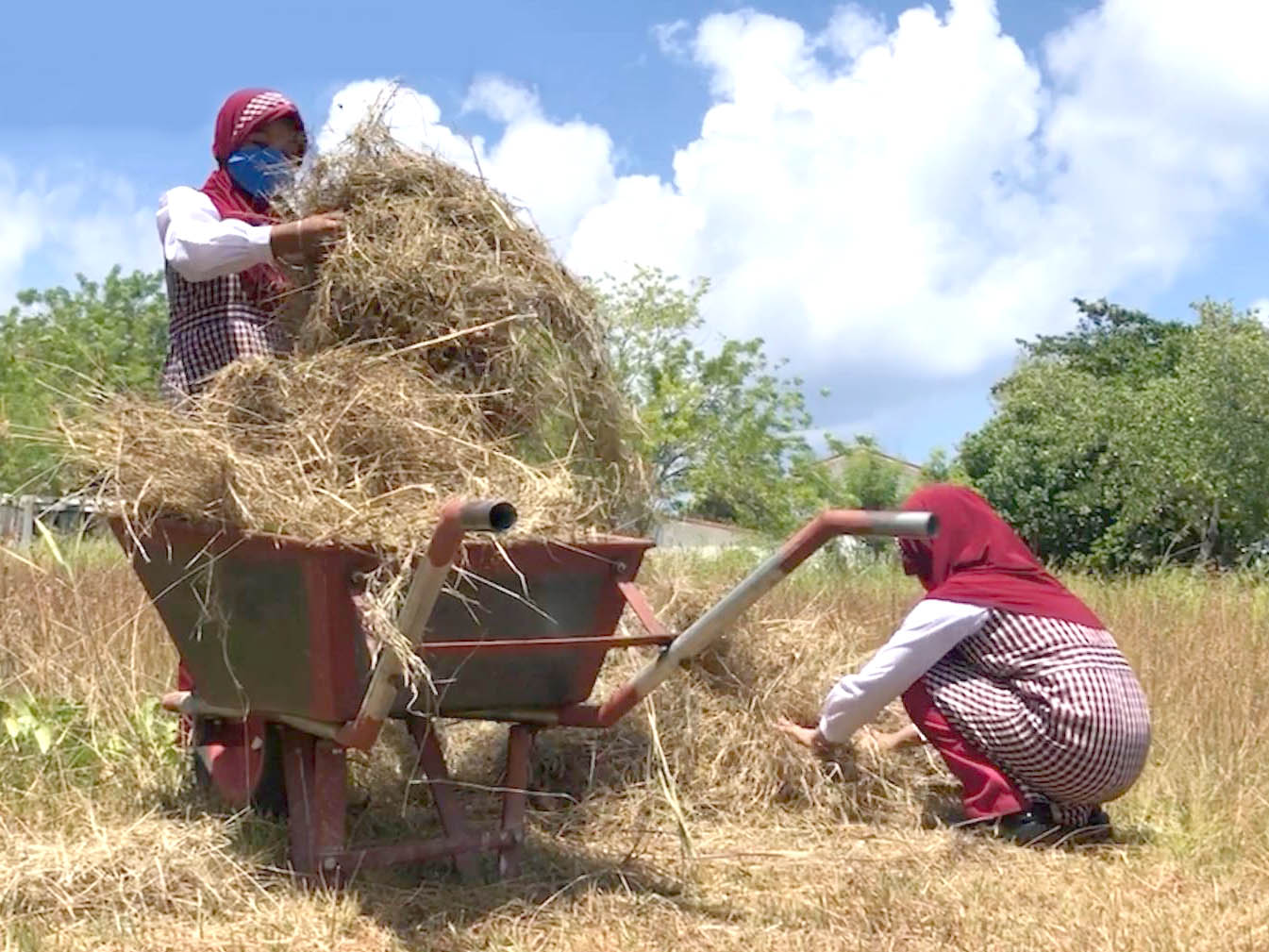 Student-Centered Skill-Based Learning – Composting [grade 1-9]