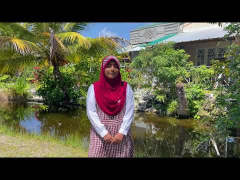 Raising Awareness And Promoting Responsible Development Of The Fascinating Addu City Wetlands