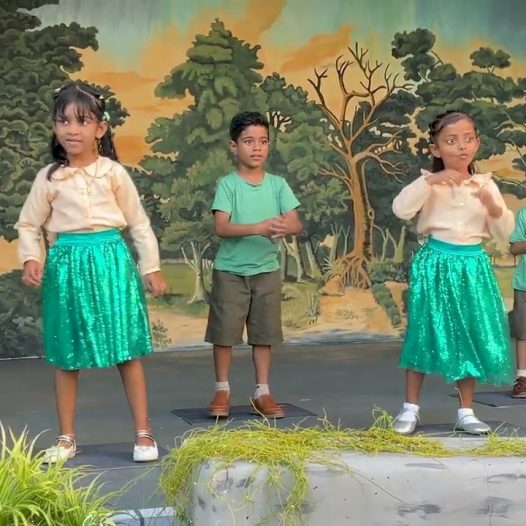 Dancing Stars – We Are Going To The Zoo