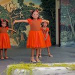 Dancing Stars – Zoo Song