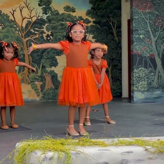 Dancing Stars – Zoo Song