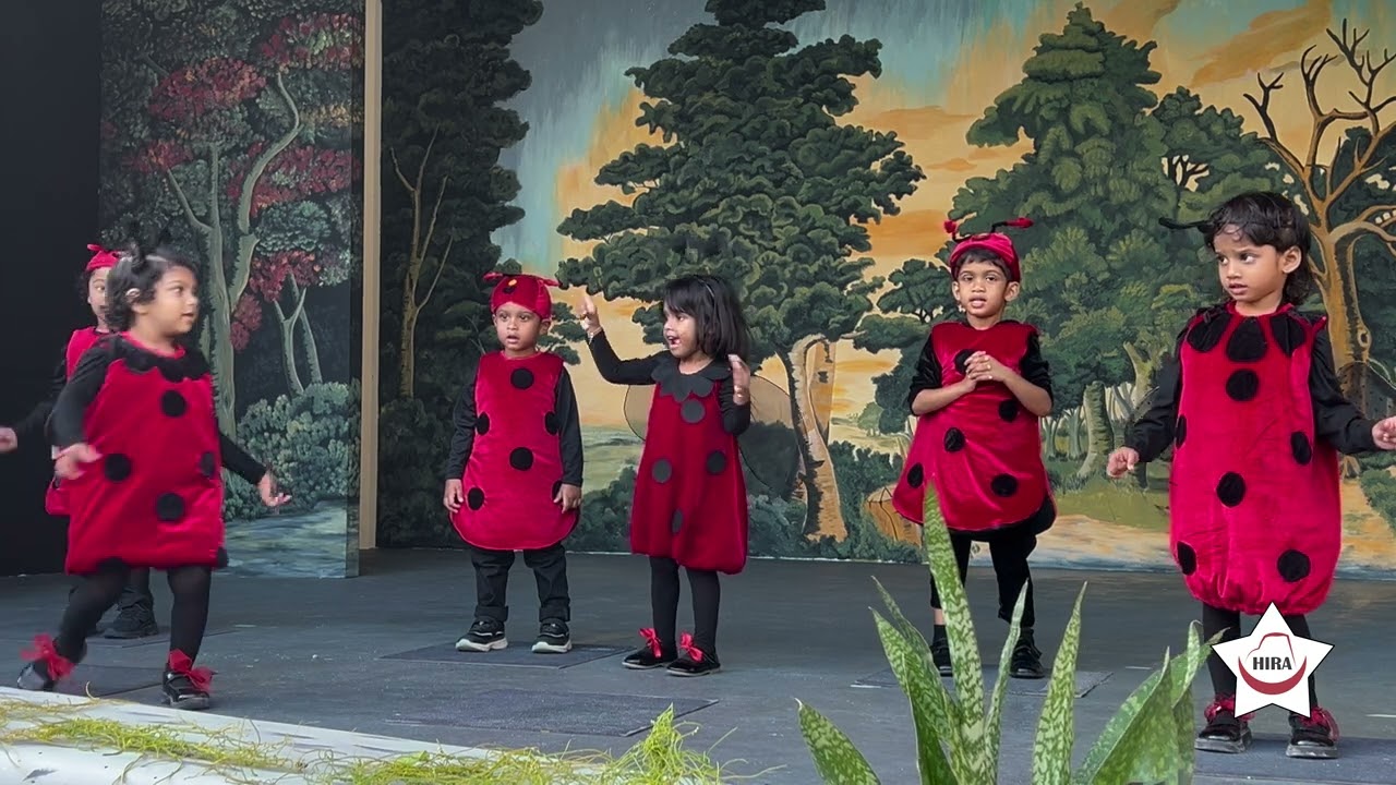 Dancing Stars – Hey Little Lady Bug Grp1