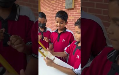 🌱 From Farm to School – Learning That Grows! 🥬