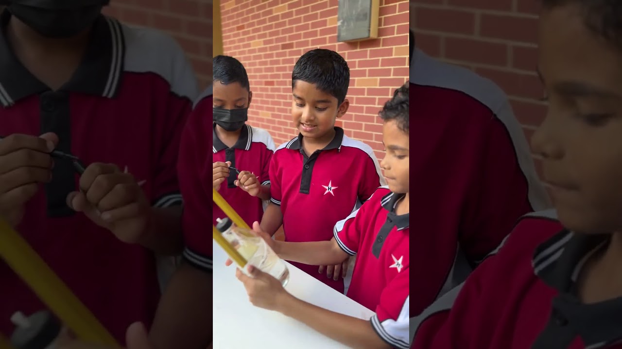 π± From Farm to School β Learning That Grows! π₯¬ π± From Farm to School β Learning That Grows! π₯¬