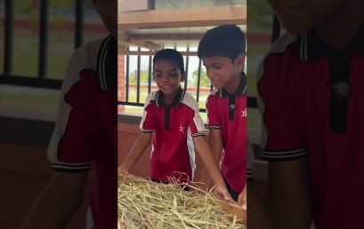 Learning Responsibility Through Pet Care 🌞🐔