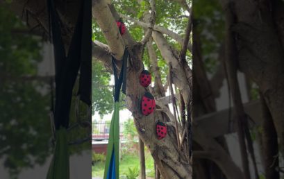 🌿✨ Peer Mentors Shaping a Caring School Community! ✨🌿