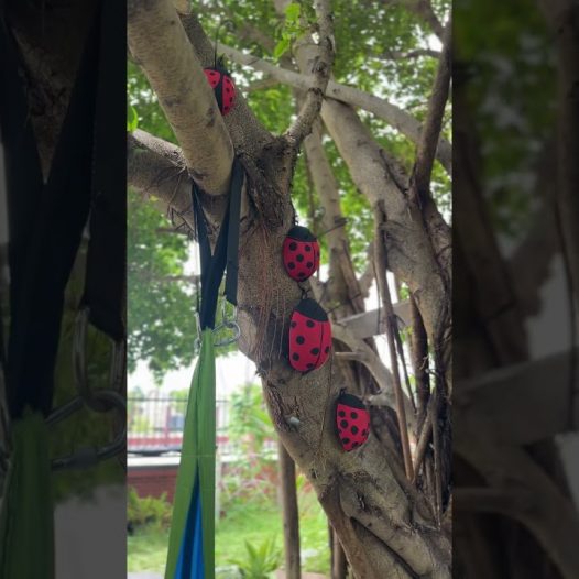 🌿✨ Peer Mentors Shaping a Caring School Community! ✨🌿