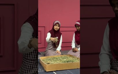 🌿💡 Entrepreneur Student Leaders at Hira School! 💪🌱